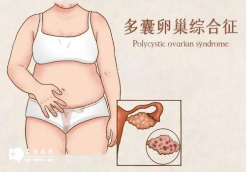 怀孕中药调理有用吗，中医如何调理身体加速好孕